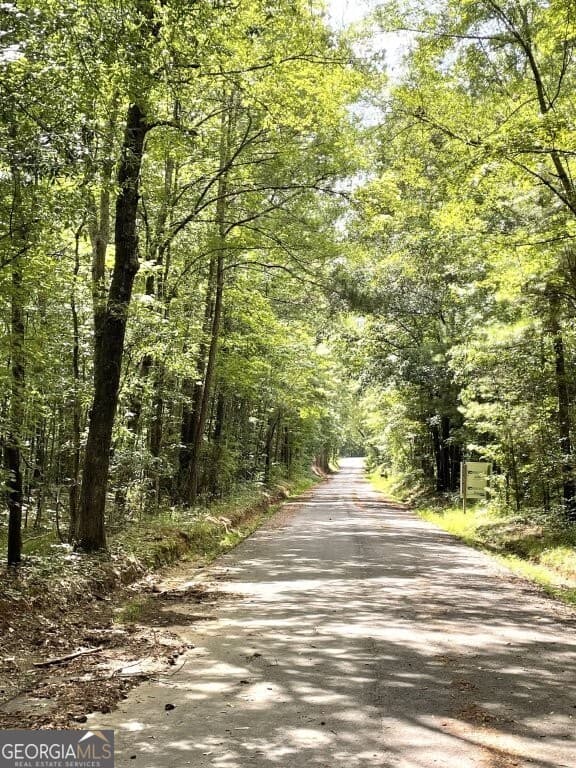 unimproved land for sale at 0 Pickett Bridge Road, Covington, GA 30016 — photo 3