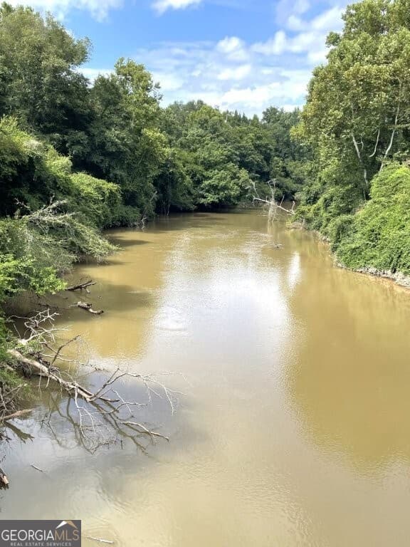 unimproved land for sale at 0 Pickett Bridge Road, Covington, GA 30016 — photo 1 of 3