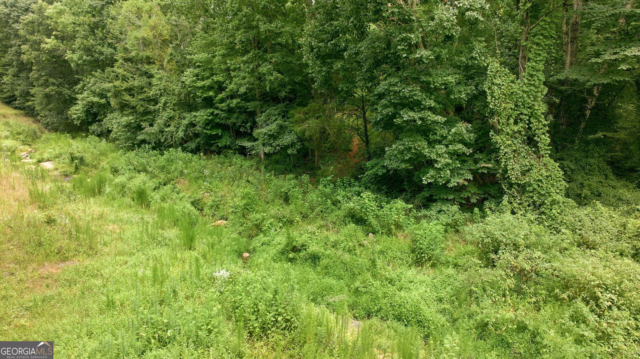 unimproved land for sale at 759 Fairview Road TRACT 4, Pendergrass, GA 30567 — photo 10