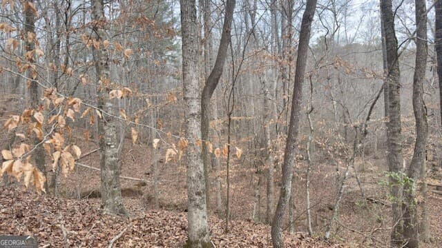 5 bedroom, 4 bathroom, 3,319 sq ft single family residence for sale at 00 LOT2 N. Helton Road, Winston, GA 30187 — photo 6