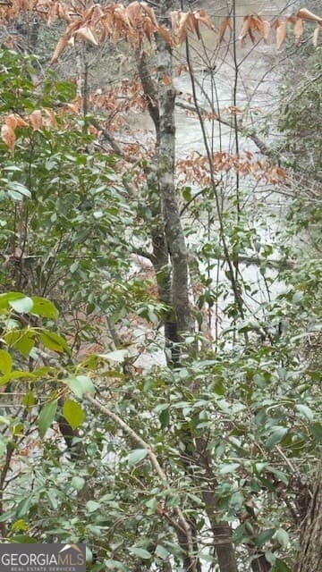 5 bedroom, 4 bathroom, 3,319 sq ft single family residence for sale at 00 LOT2 N. Helton Road, Winston, GA 30187 — photo 7