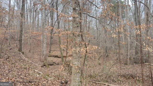 5 bedroom, 4 bathroom, 3,319 sq ft single family residence for sale at 00 LOT2 N. Helton Road, Winston, GA 30187 — photo 5