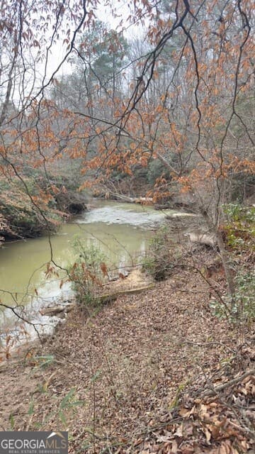 5 bedroom, 4 bathroom, 3,319 sq ft single family residence for sale at 00 LOT2 N. Helton Road, Winston, GA 30187 — photo 4
