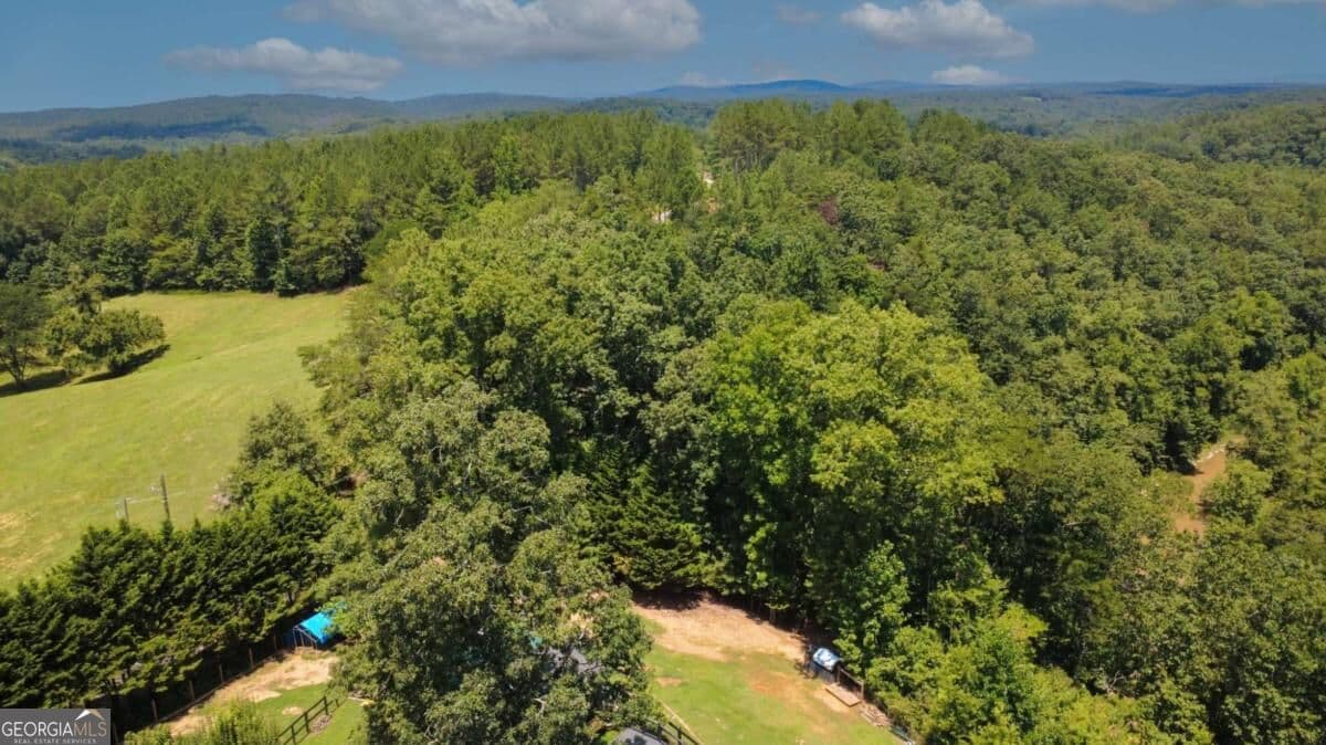 3 bedroom, 3 bathroom, 2,200 sq ft single family residence for rent at 268 Creek Bank Drive A, Talking Rock, GA 30175 for $3,500 a month — photo 8
