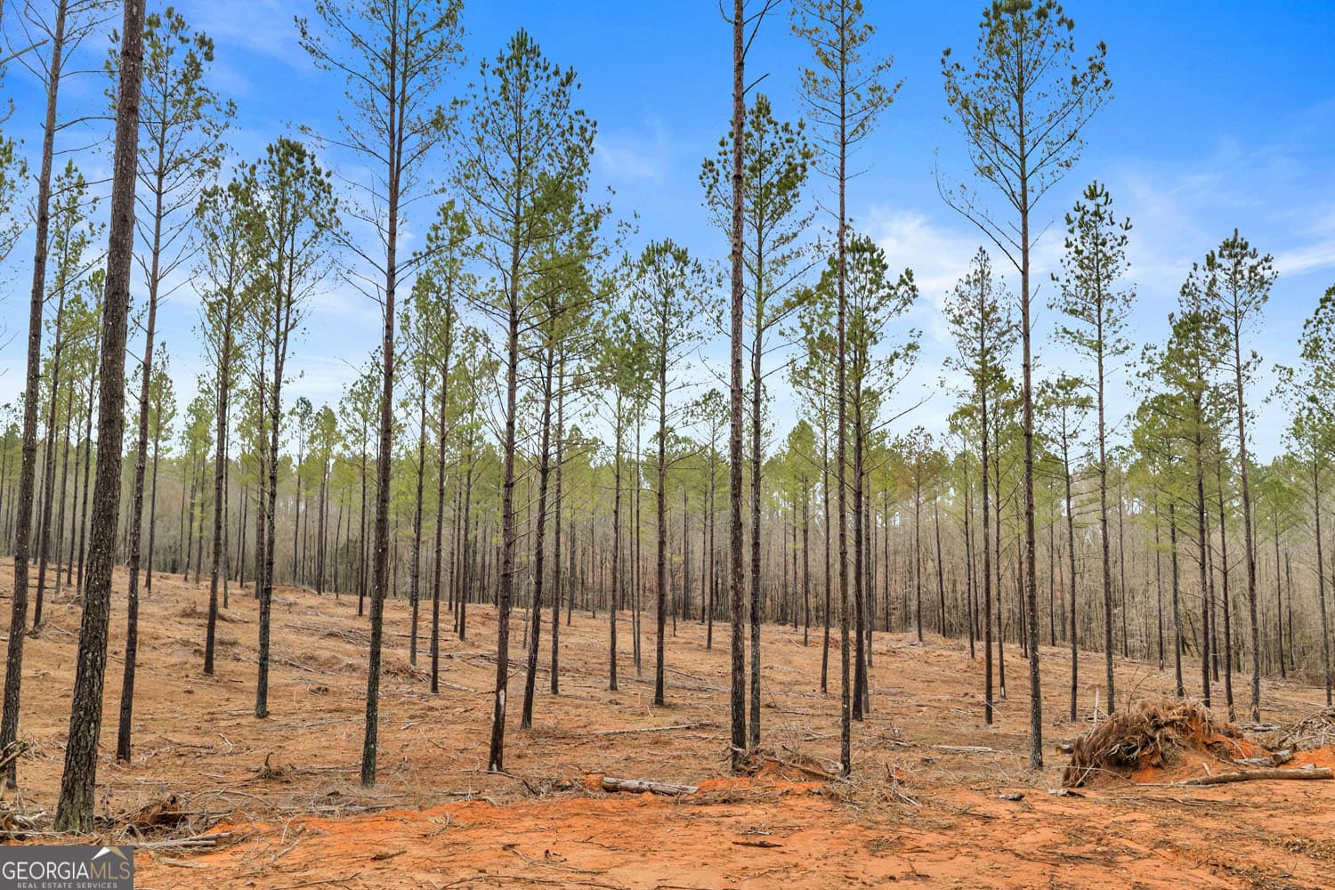 unimproved land for sale at 10 LEXINGTON ESTATES, Lexington, GA 30648 — photo 3