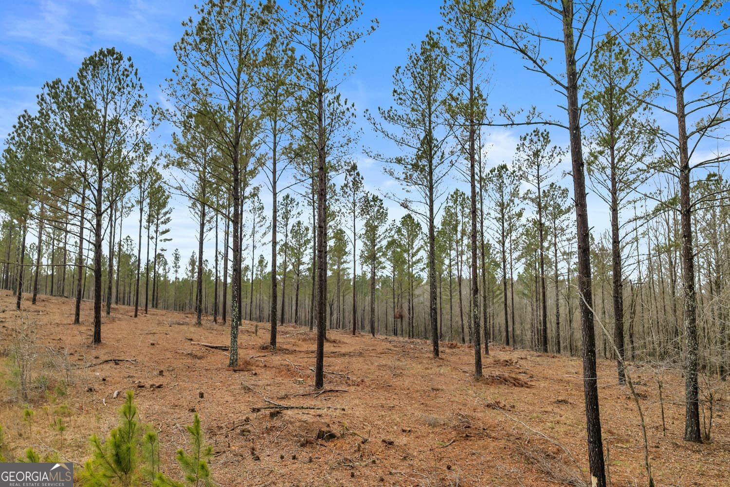 unimproved land for sale at 10 LEXINGTON ESTATES, Lexington, GA 30648 — photo 9