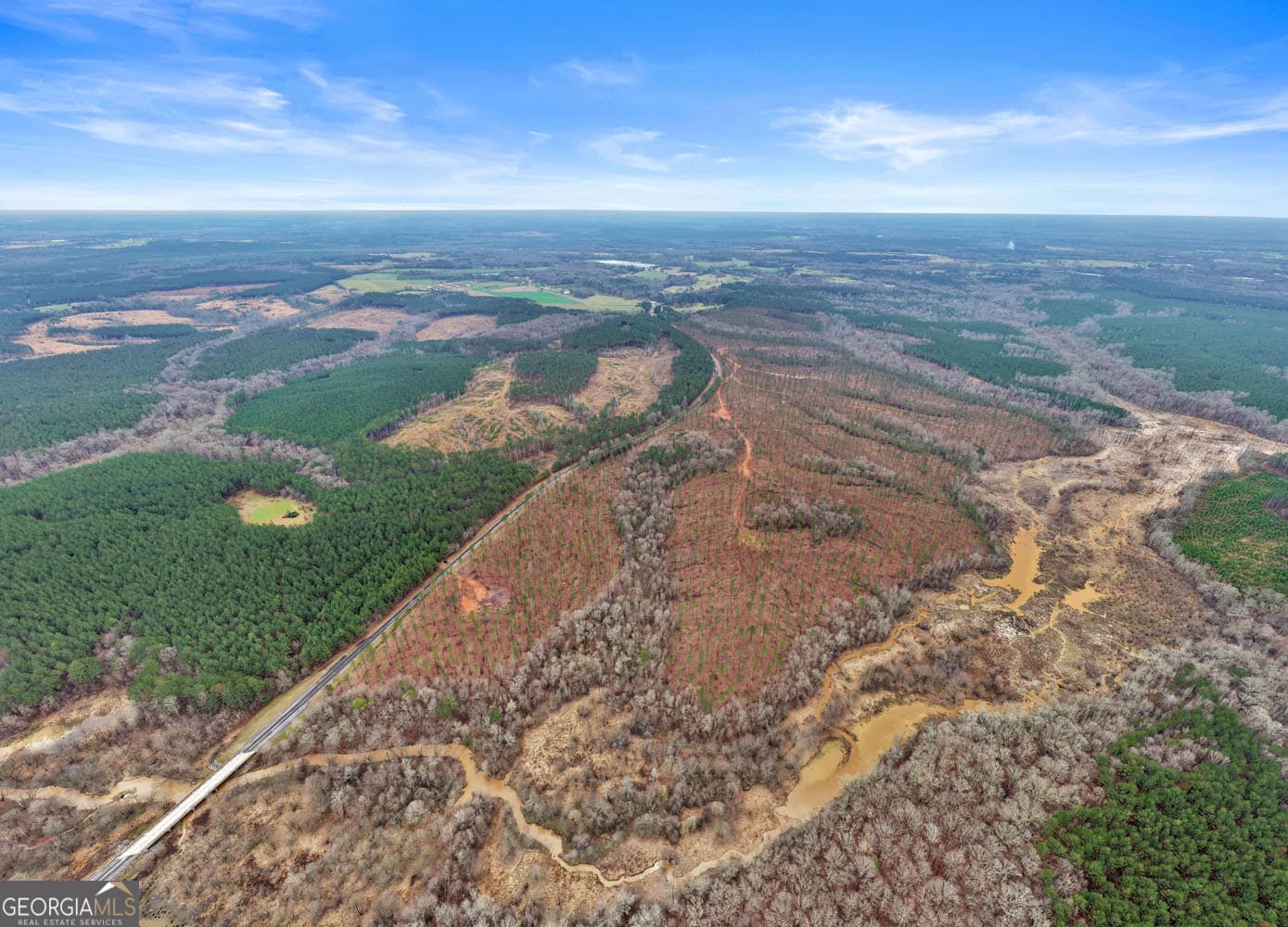 unimproved land for sale at 10 LEXINGTON ESTATES, Lexington, GA 30648 — photo 10