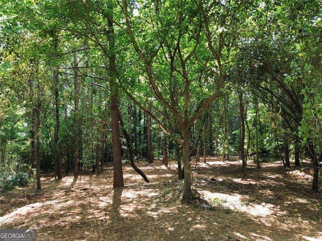 unimproved land for sale at 299 Plaza Drive, Monroe, GA 30655 — photo 2