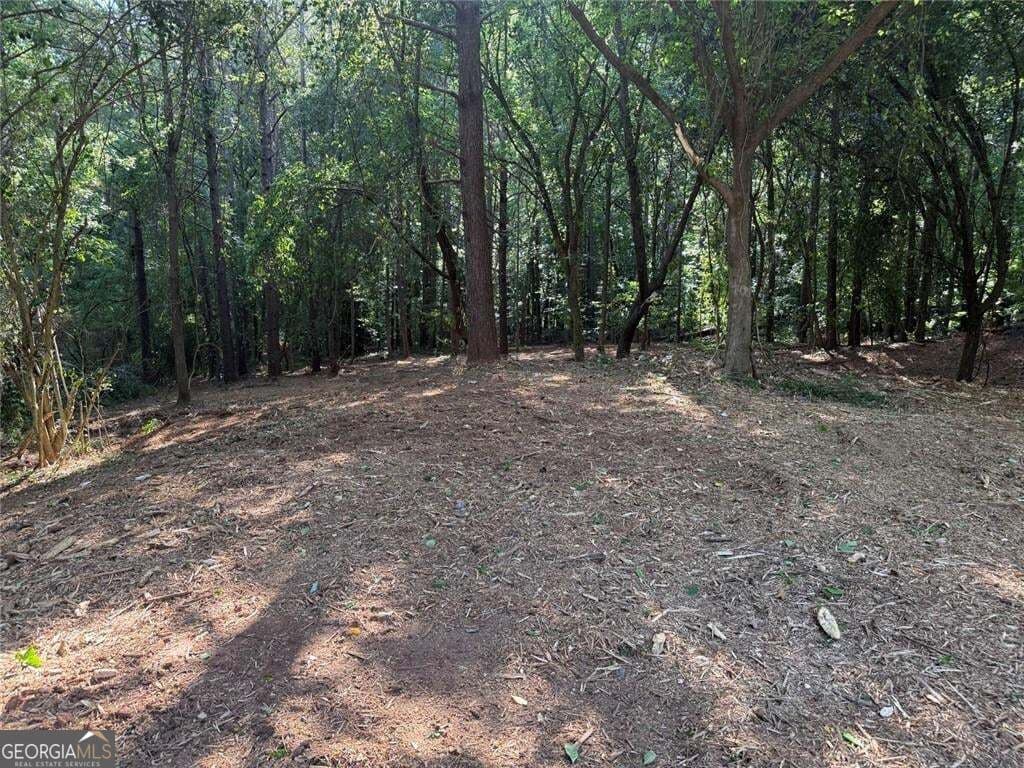 unimproved land for sale at 299 Plaza Drive, Monroe, GA 30655 — photo 3