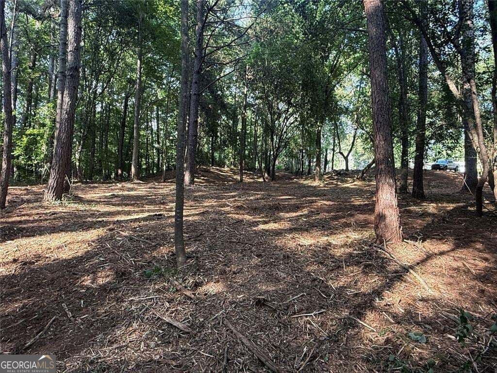 unimproved land for sale at 299 Plaza Drive, Monroe, GA 30655 — photo 5
