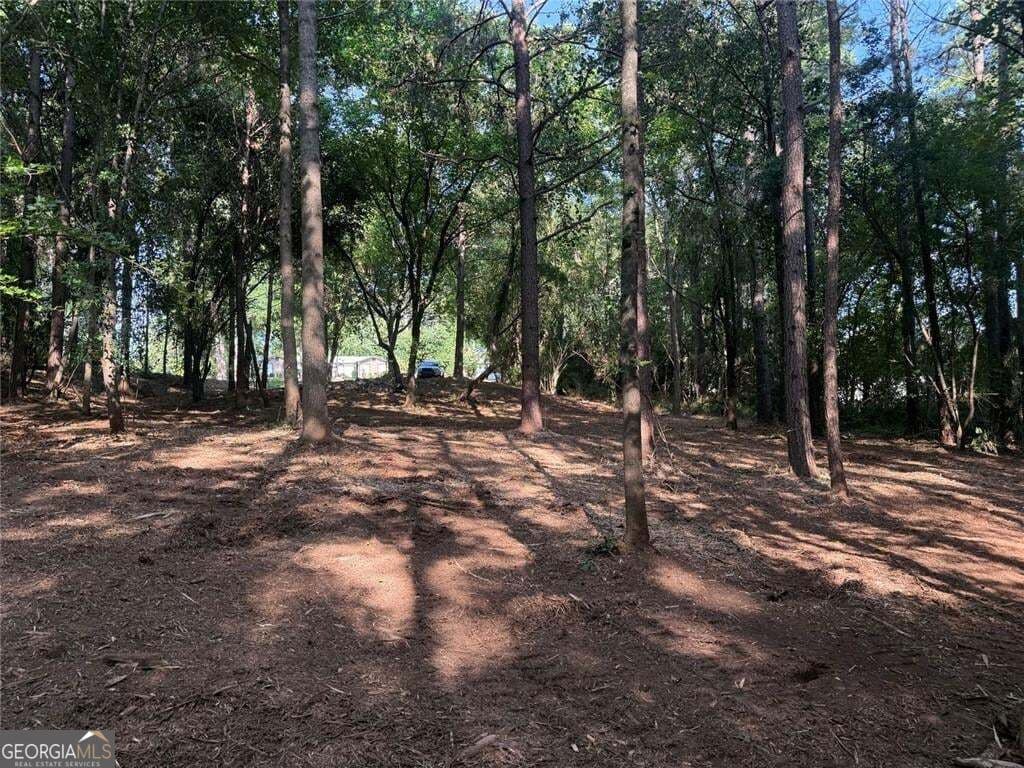 unimproved land for sale at 299 Plaza Drive, Monroe, GA 30655 — photo 4