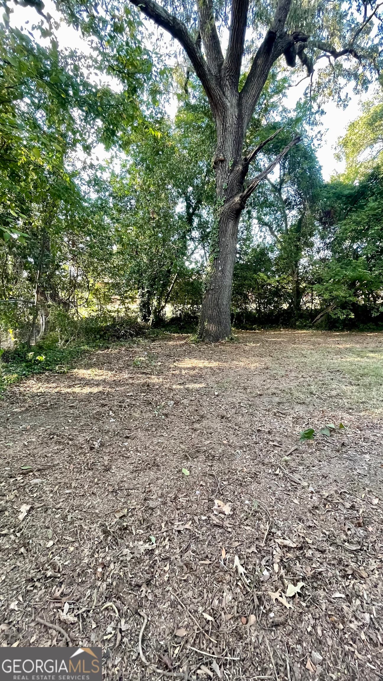2 bedroom, 1 bathroom, 853 sq ft single family residence for sale at 611 W Moore Street, Dublin, GA 31021 — photo 4