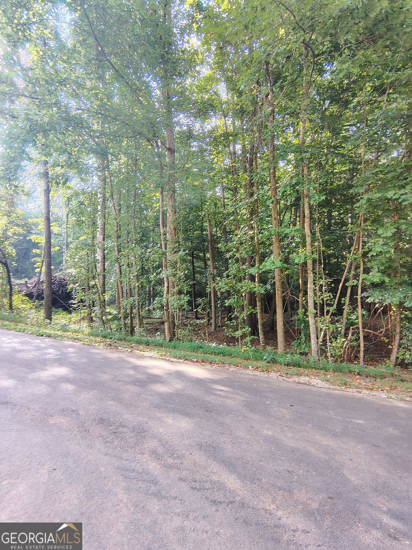 residential lot for sale at 261 Brad Street, Royston, GA 30662 — photo 2
