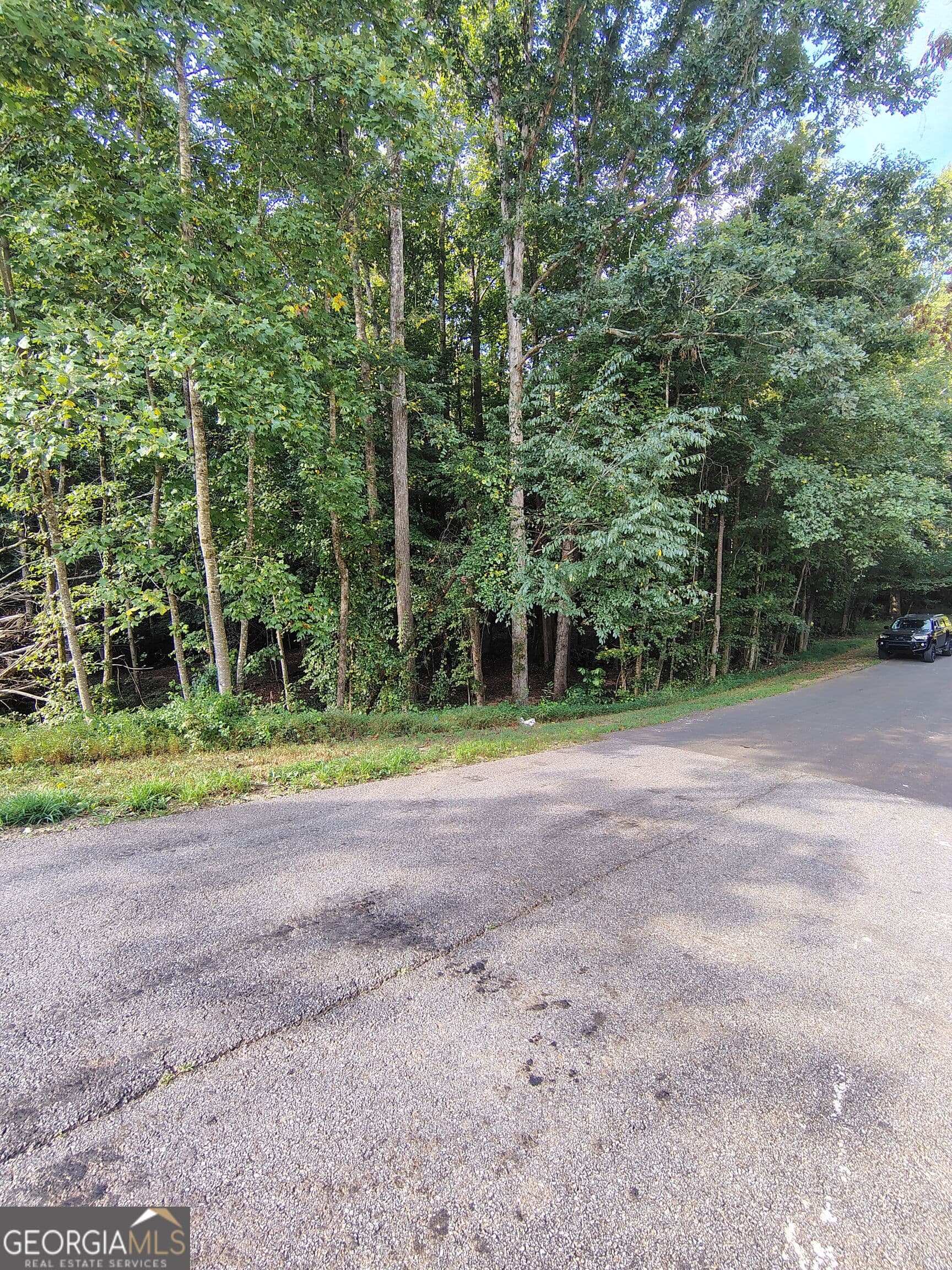 residential lot for sale at 261 Brad Street, Royston, GA 30662 — photo 6