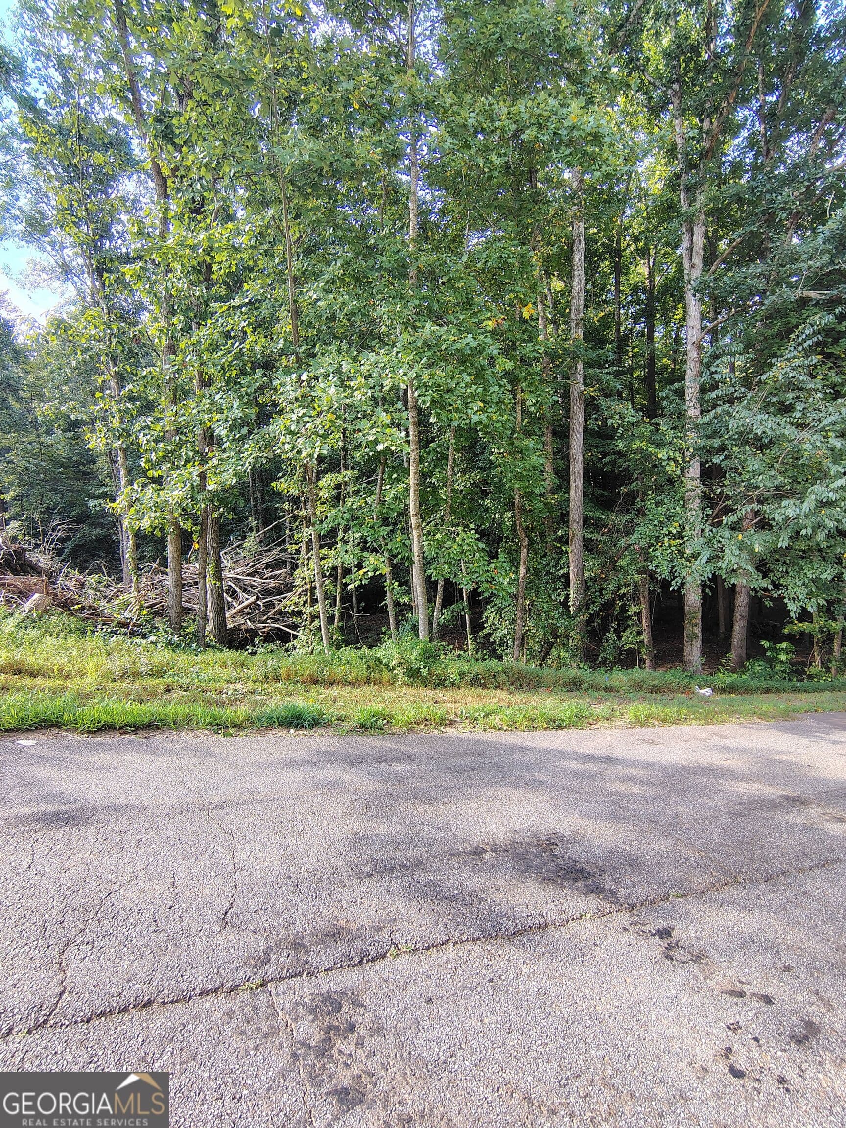 residential lot for sale at 261 Brad Street, Royston, GA 30662 — photo 7
