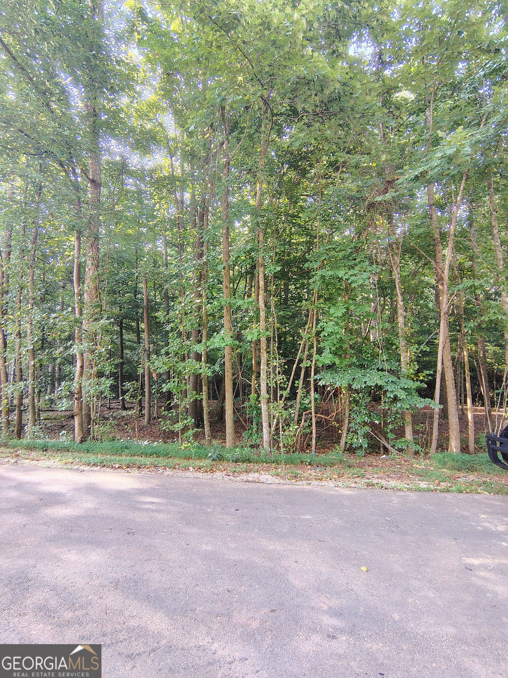 residential lot for sale at 261 Brad Street, Royston, GA 30662 — photo 3