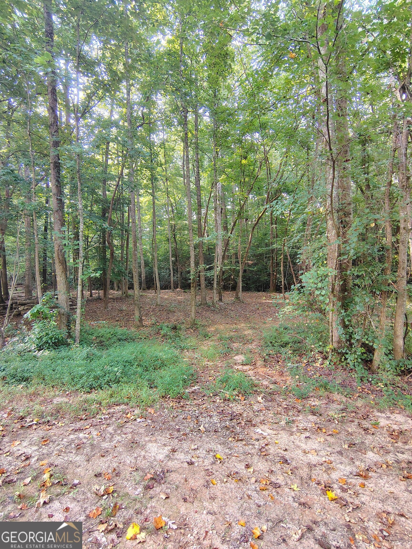 residential lot for sale at 261 Brad Street, Royston, GA 30662 — photo 1 of 15