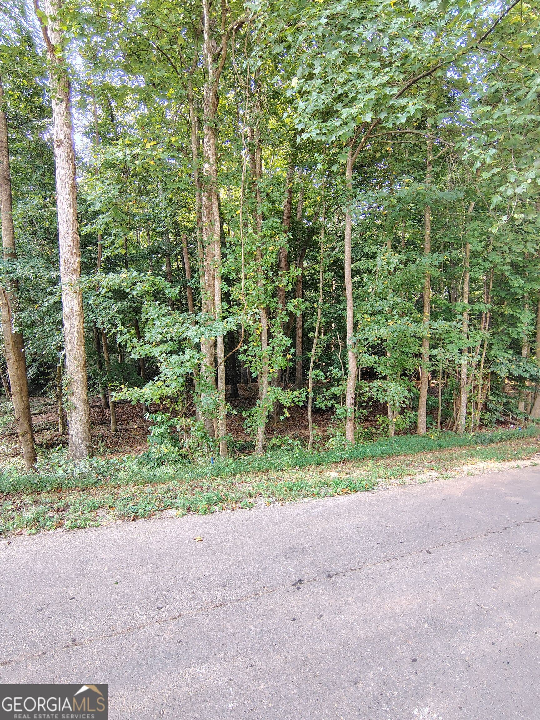 residential lot for sale at 261 Brad Street, Royston, GA 30662 — photo 5