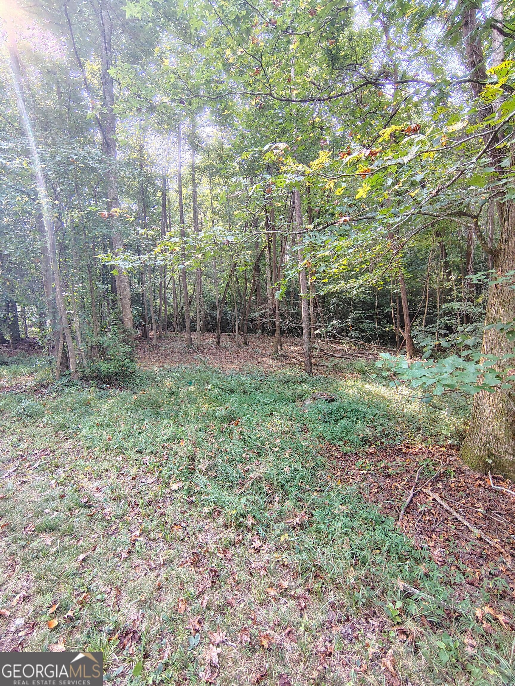residential lot for sale at 261 Brad Street, Royston, GA 30662 — photo 10
