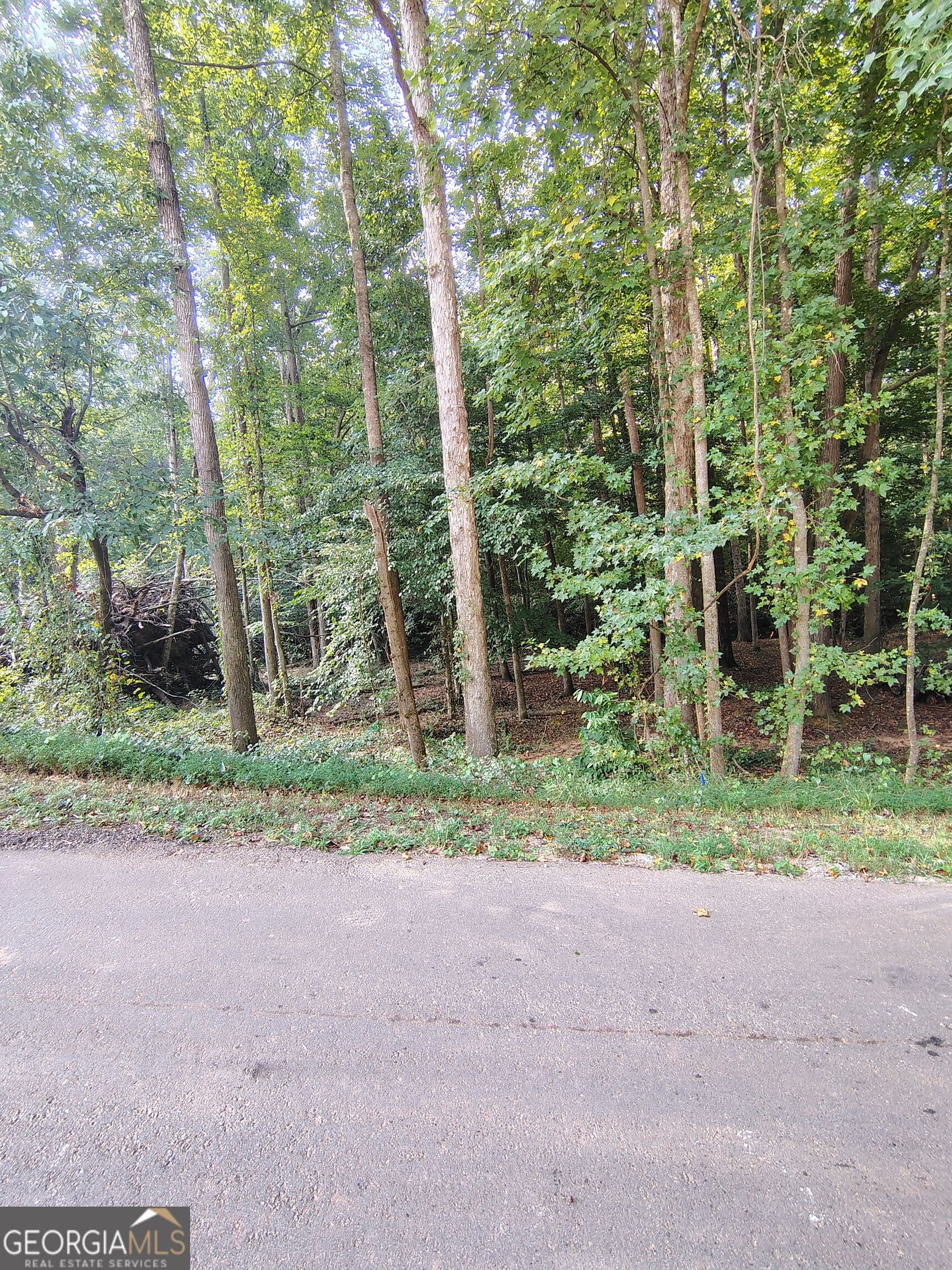 residential lot for sale at 261 Brad Street, Royston, GA 30662 — photo 4