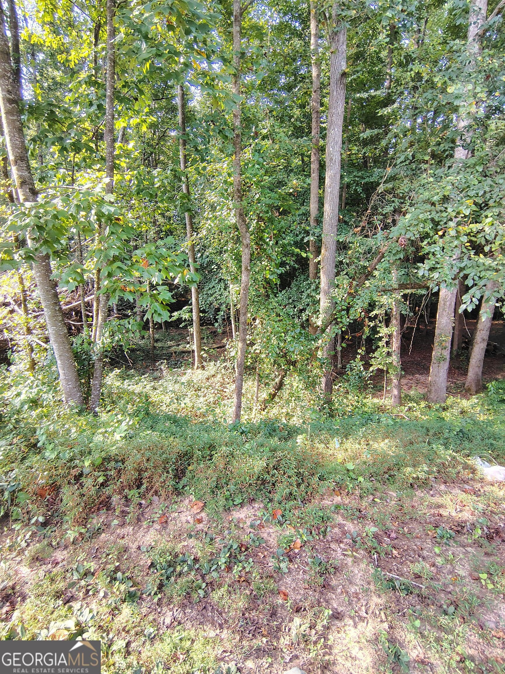 residential lot for sale at 261 Brad Street, Royston, GA 30662 — photo 8
