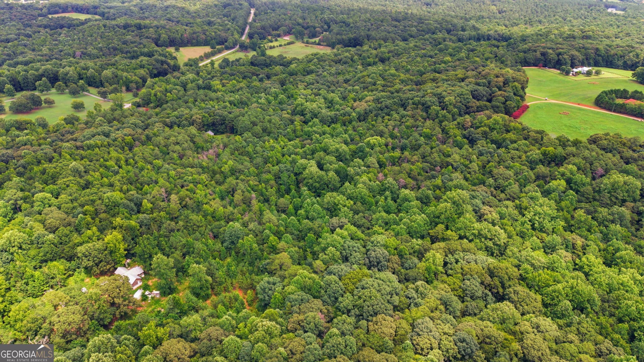 unimproved land for sale at 0 Berea Road, Commerce, GA 30530 — photo 5