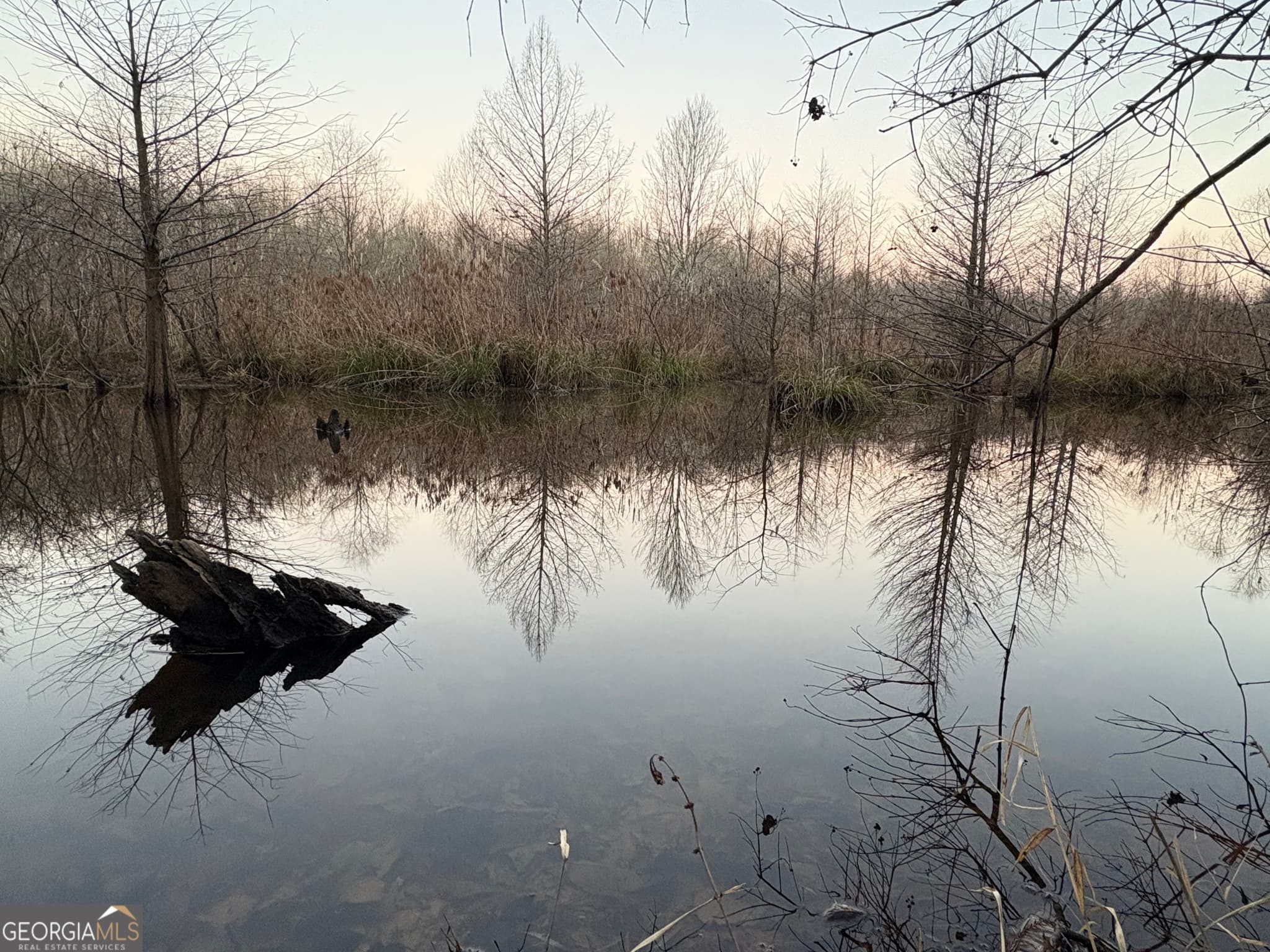 unimproved land for sale at 0 Sandy Creek Road, Irwinton, GA 31042 — photo 7