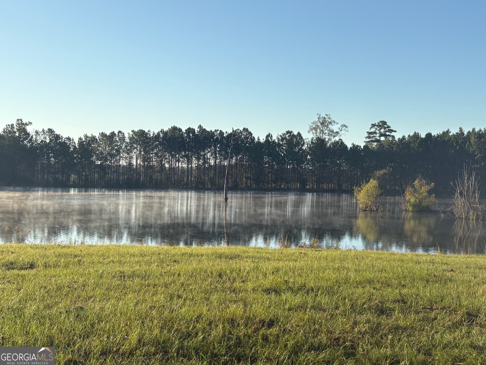 unimproved land for sale at 0 Sandy Creek Road, Irwinton, GA 31042 — photo 5