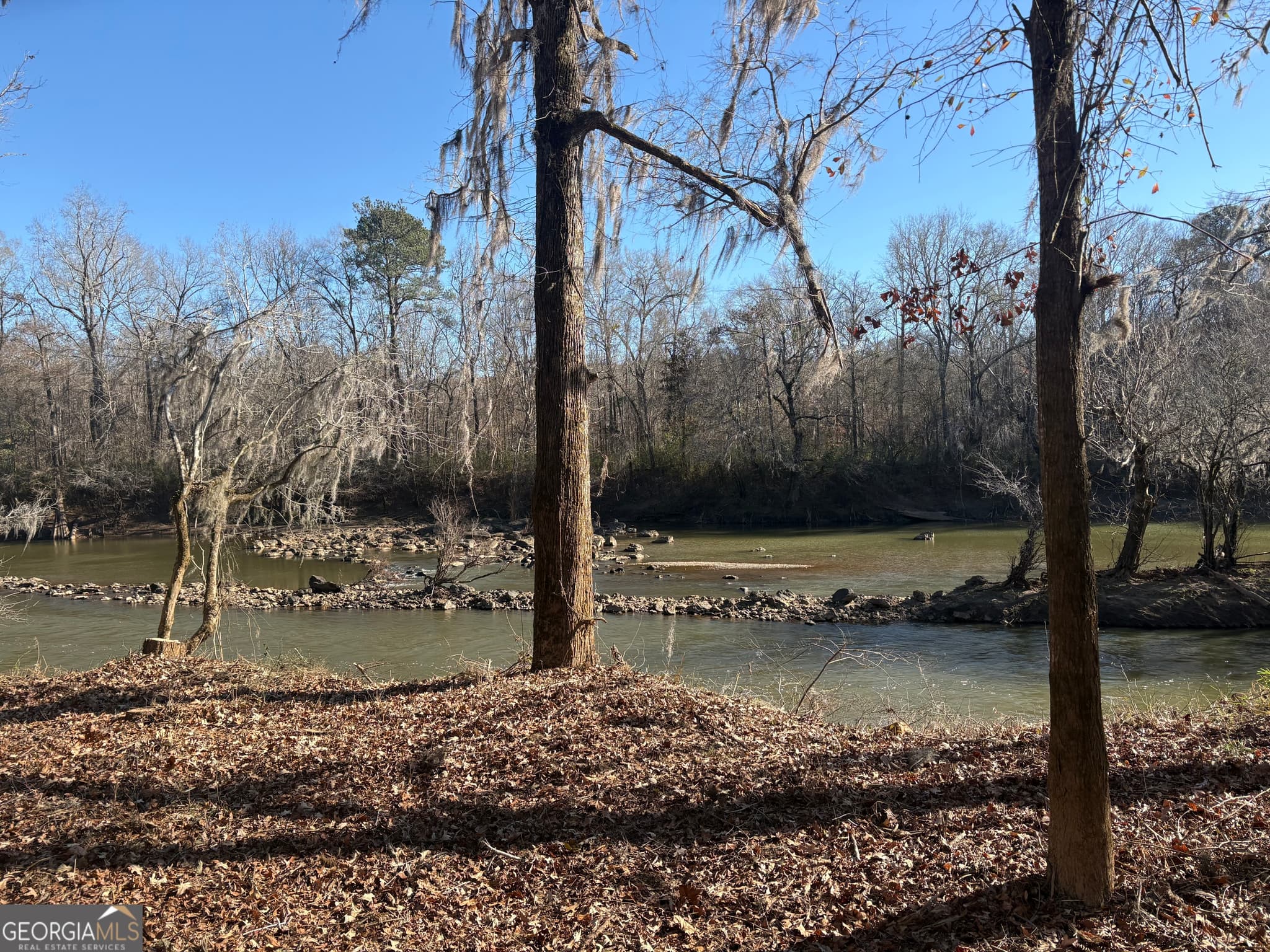 unimproved land for sale at 0 Sandy Creek Road, Irwinton, GA 31042 — photo 9