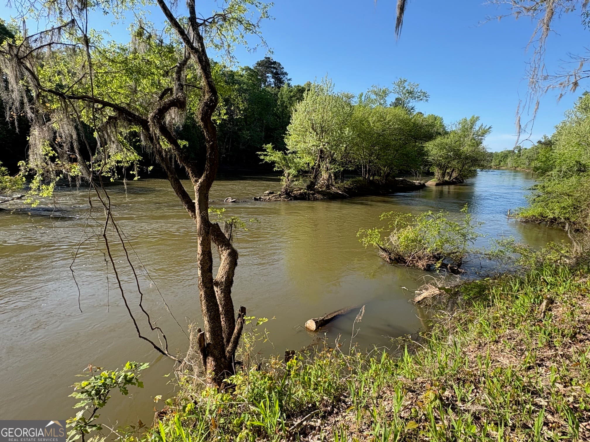 unimproved land for sale at 0 Sandy Creek Road, Irwinton, GA 31042 — photo 8