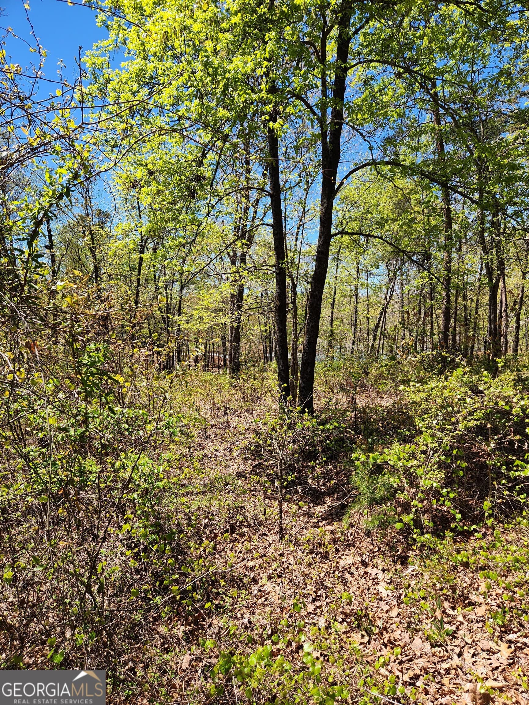 unimproved land for sale at 0 Crawfords Ferry Point, Hartwell, GA 30643 — photo 2