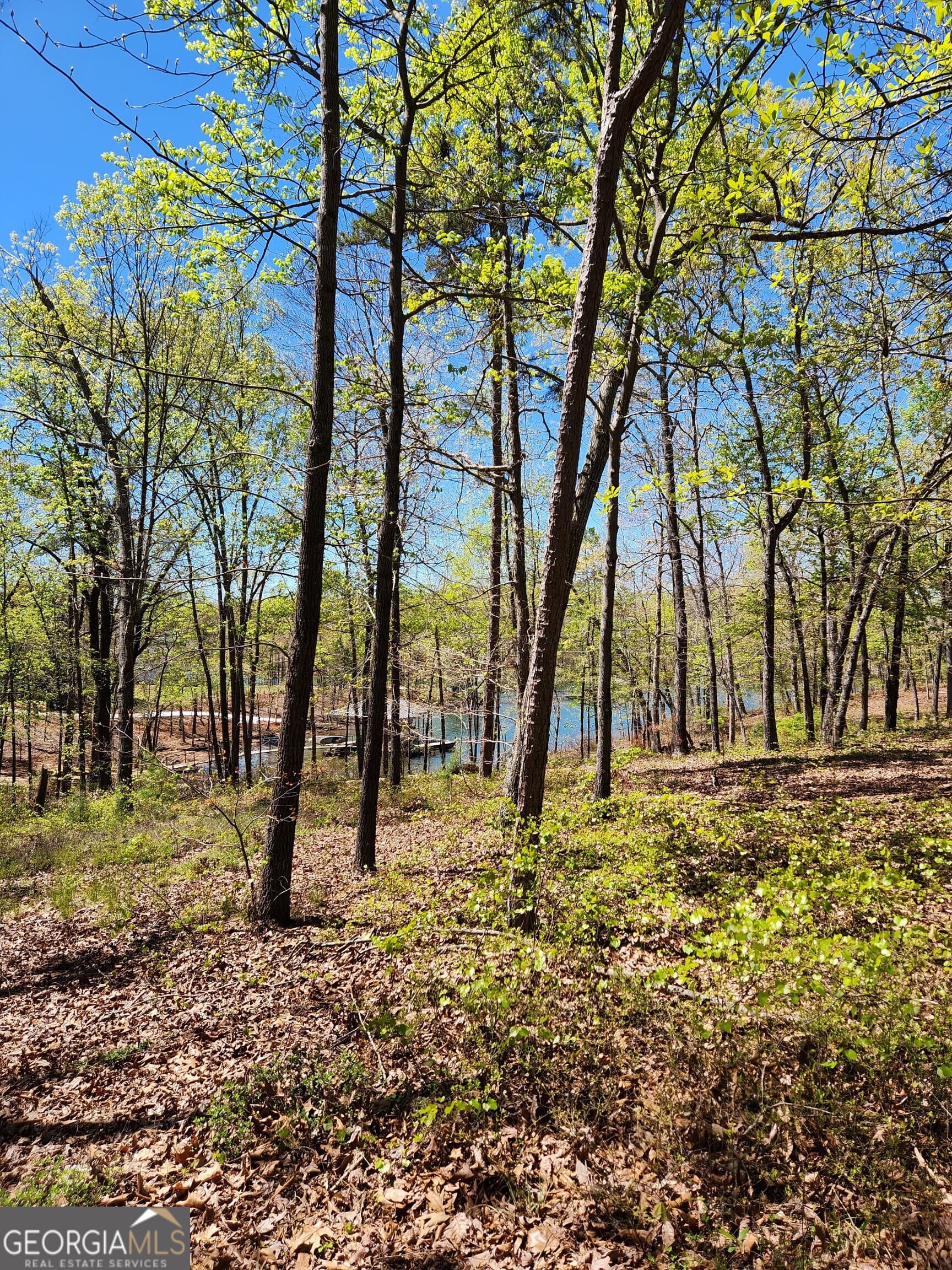 unimproved land for sale at 0 Crawfords Ferry Point, Hartwell, GA 30643 — photo 3