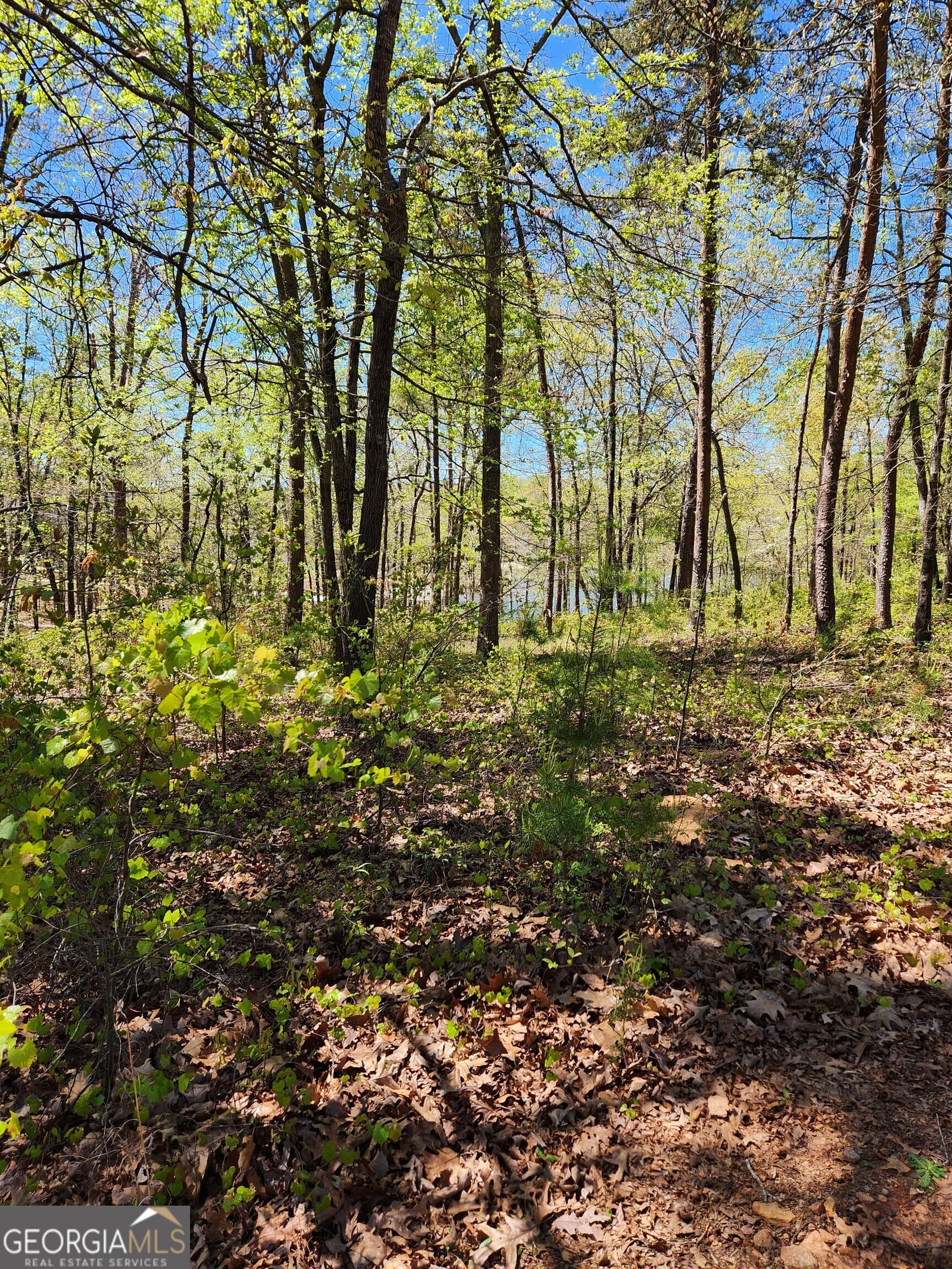 unimproved land for sale at 0 Crawfords Ferry Point, Hartwell, GA 30643 — photo 1 of 5