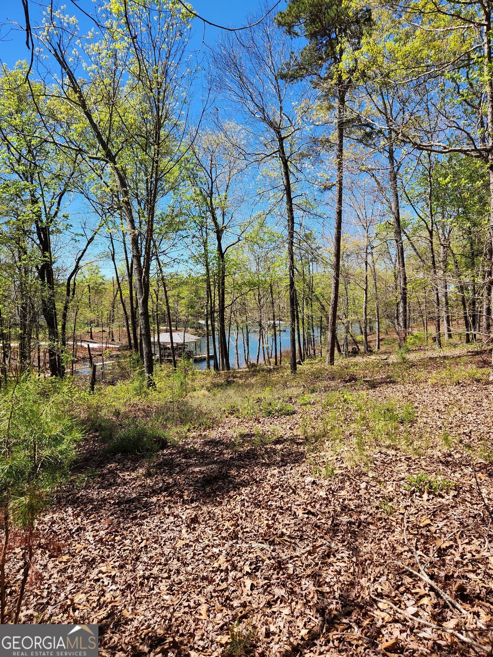 unimproved land for sale at 0 Crawfords Ferry Point, Hartwell, GA 30643 — photo 4