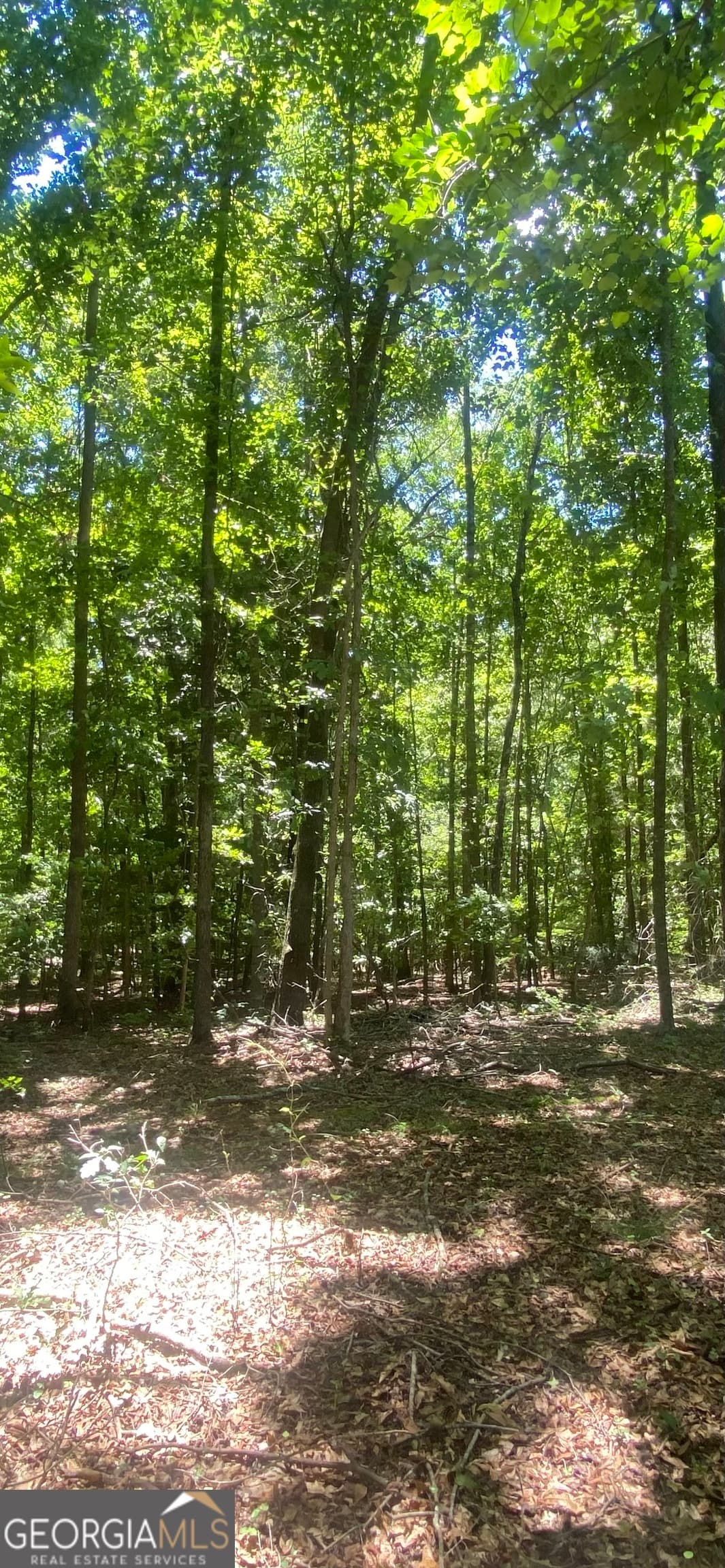 estate lot for sale at 1400 Diamond Hill Church Road, Maysville, GA 30558 — photo 2