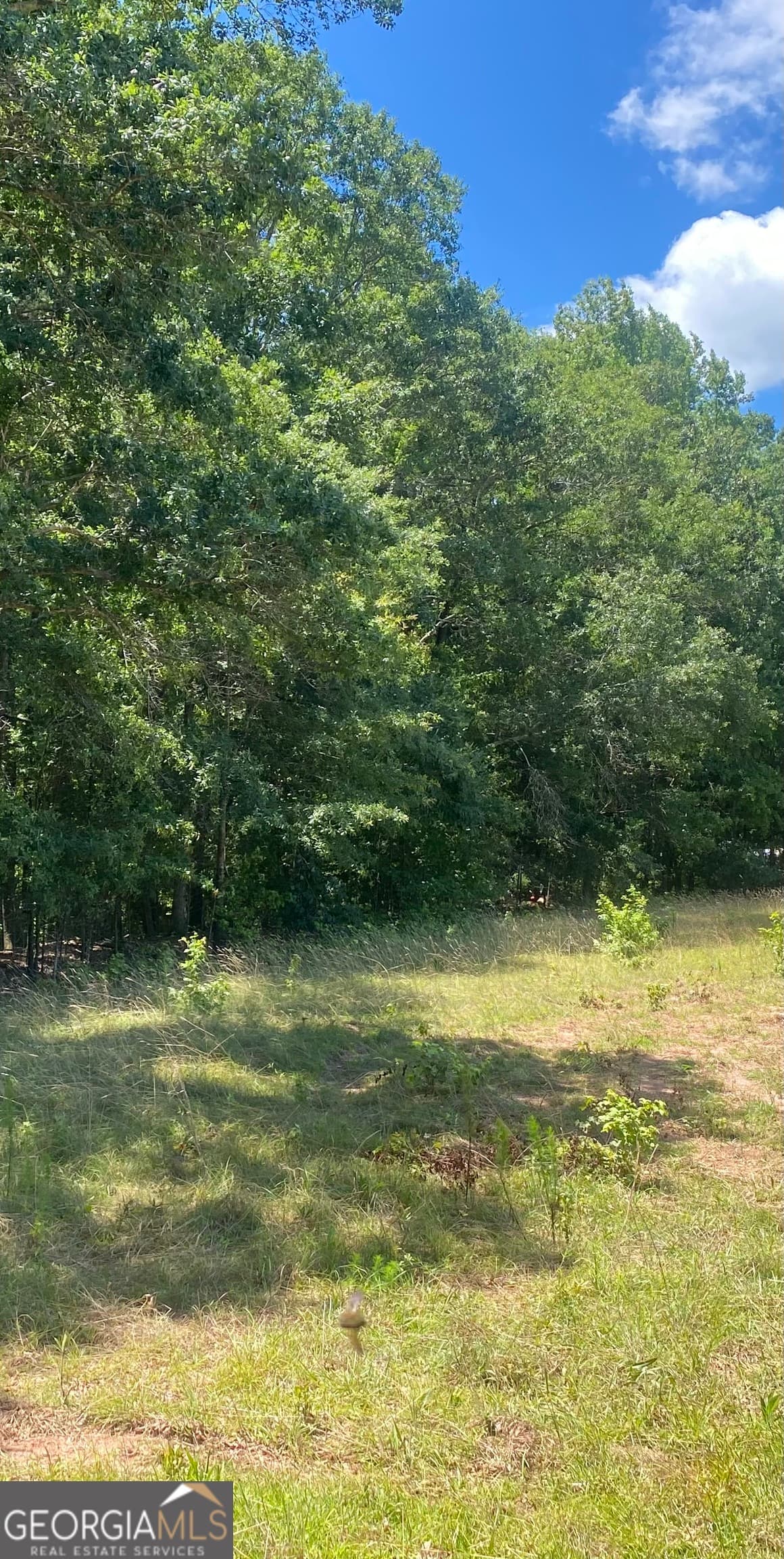 estate lot for sale at 1400 Diamond Hill Church Road, Maysville, GA 30558 — photo 3