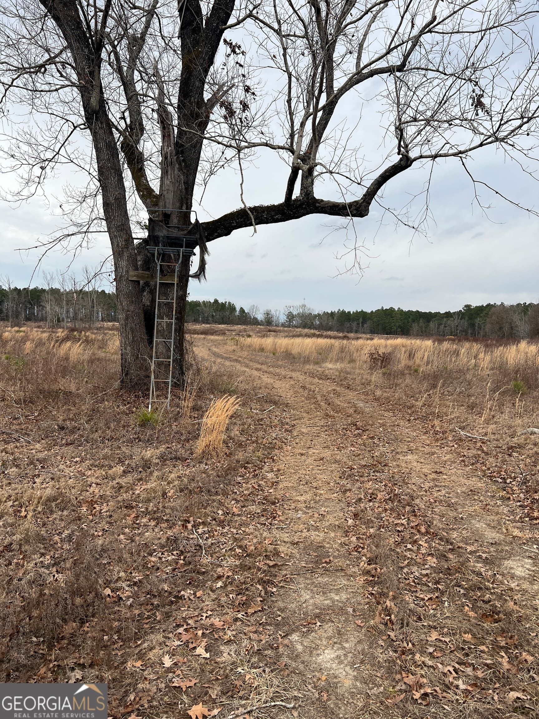 agriculture sold at 0 Studstill Road, Eastman, GA 31023