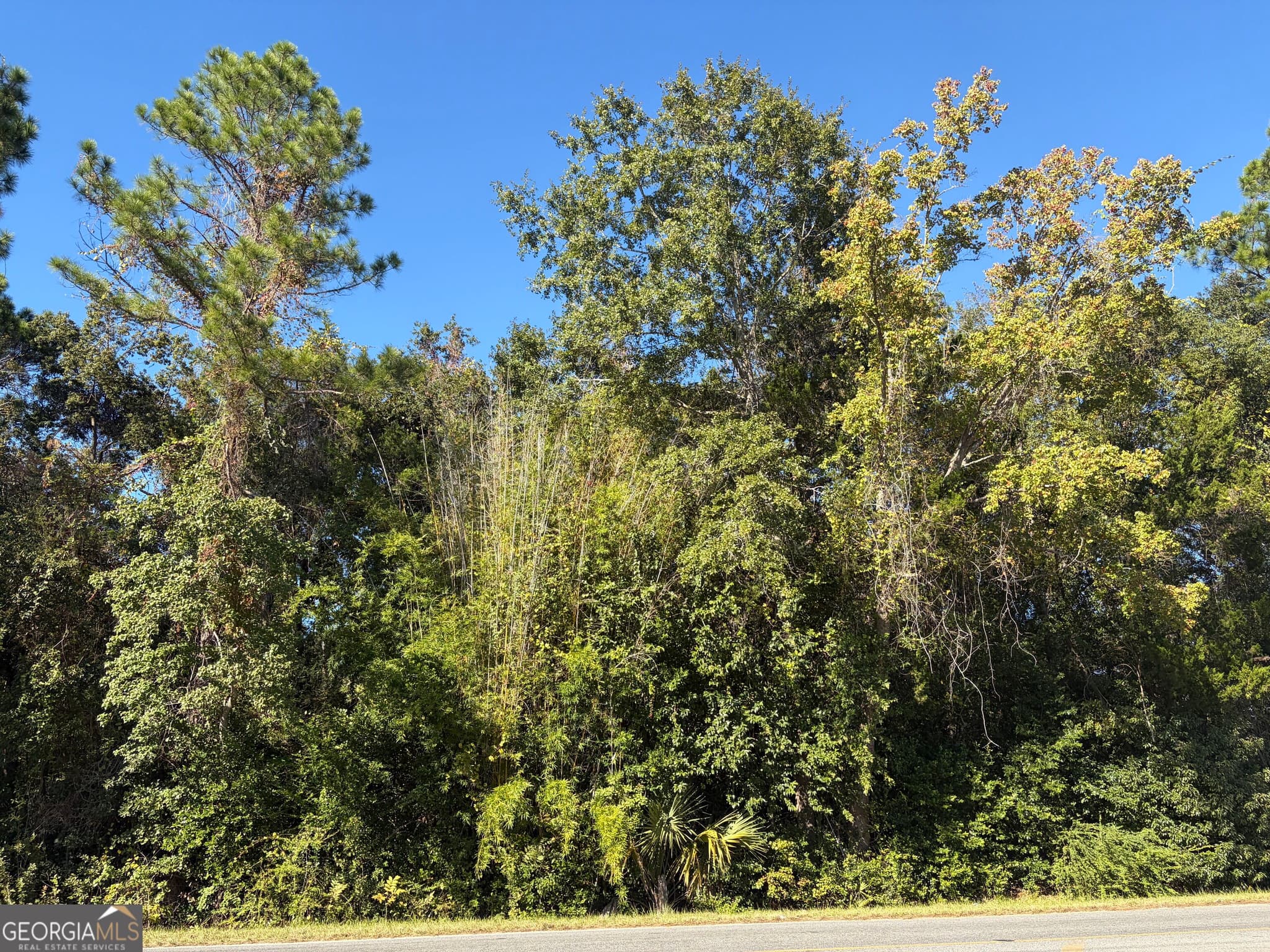 unimproved land for sale at 1.84 ACRES Carswell Ave, Waycross, GA 31503 — photo 2