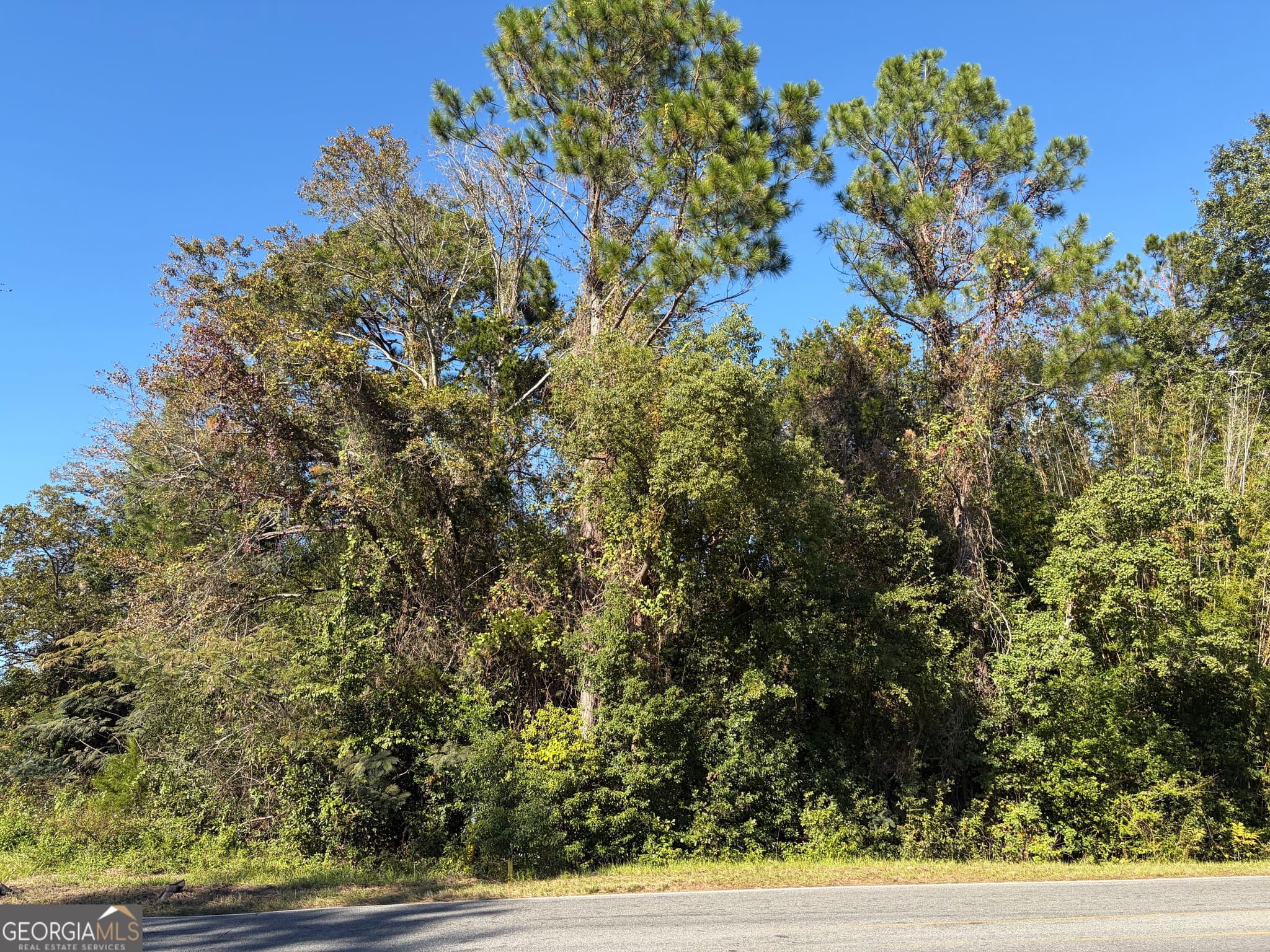 unimproved land for sale at 1.84 ACRES Carswell Ave, Waycross, GA 31503 — photo 6