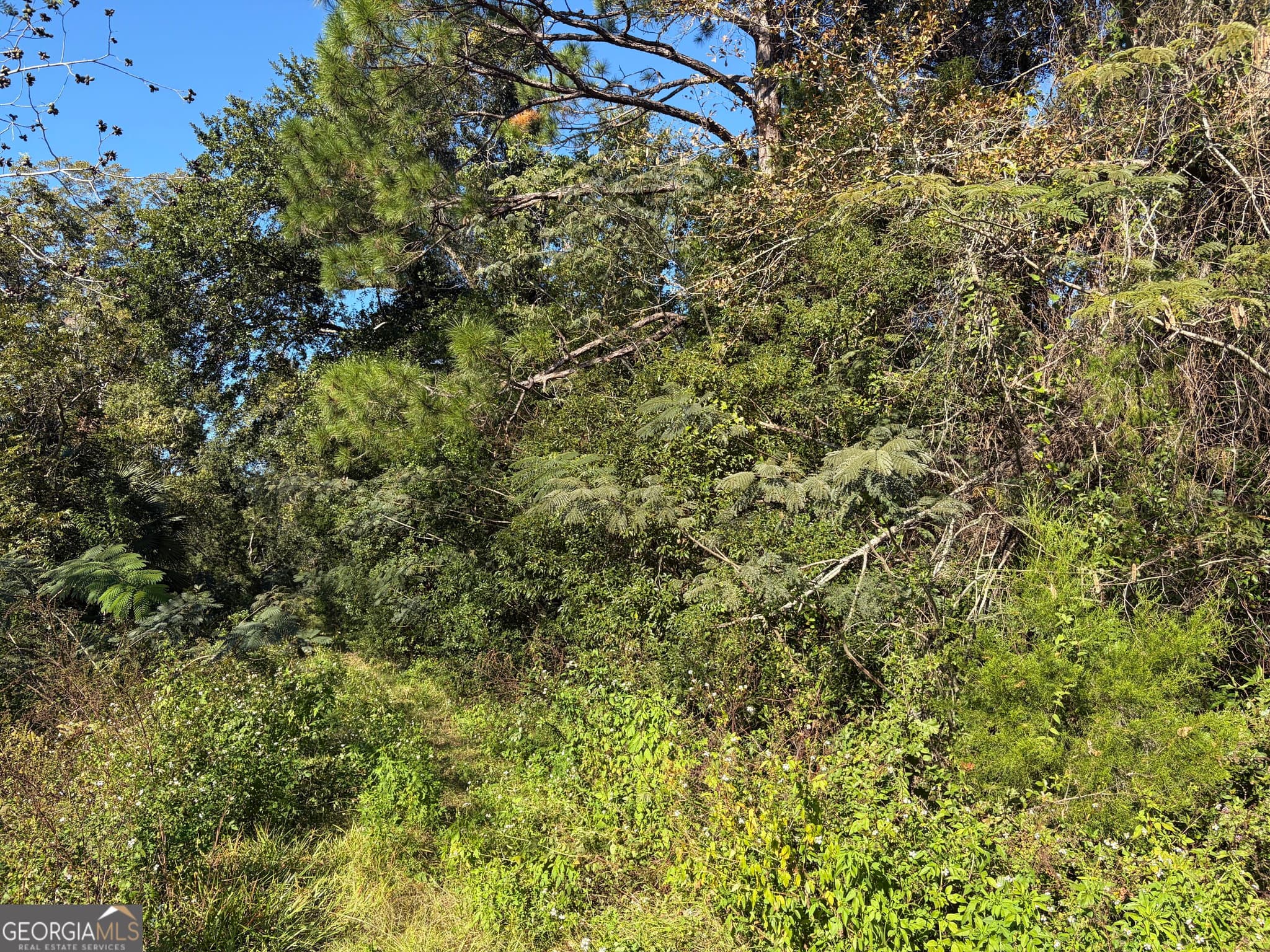 unimproved land for sale at 1.84 ACRES Carswell Ave, Waycross, GA 31503 — photo 3