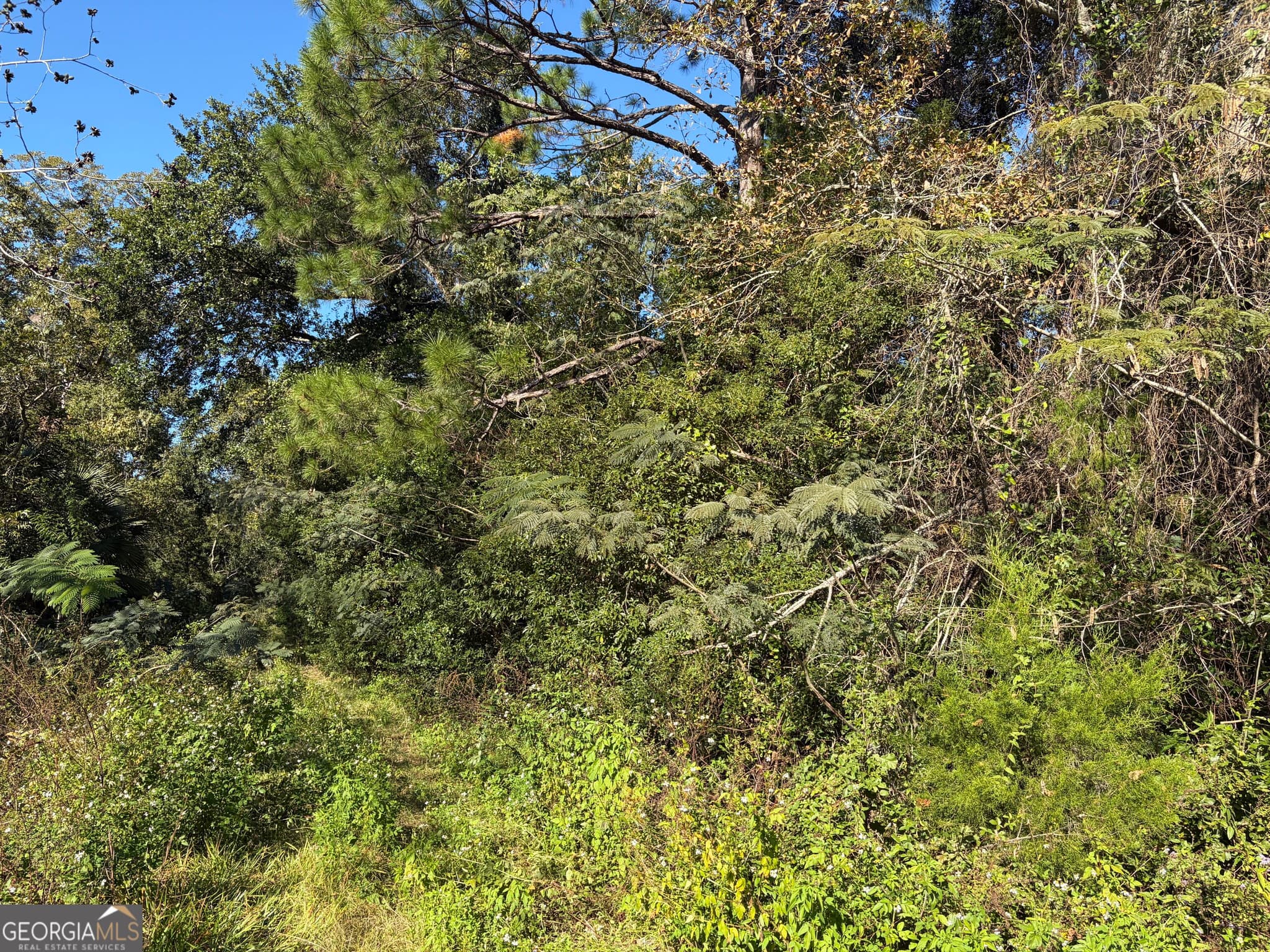 unimproved land for sale at 1.84 ACRES Carswell Ave, Waycross, GA 31503 — photo 5