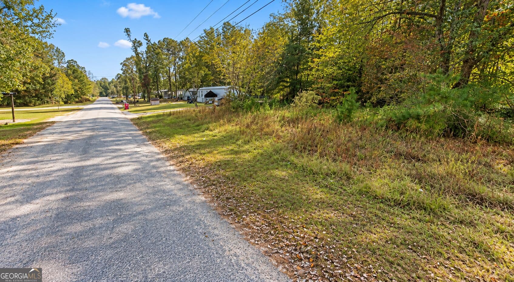 residential lot for sale at .46 ACRE Zerbee Lane, Waynesboro, GA 30830 — photo 6
