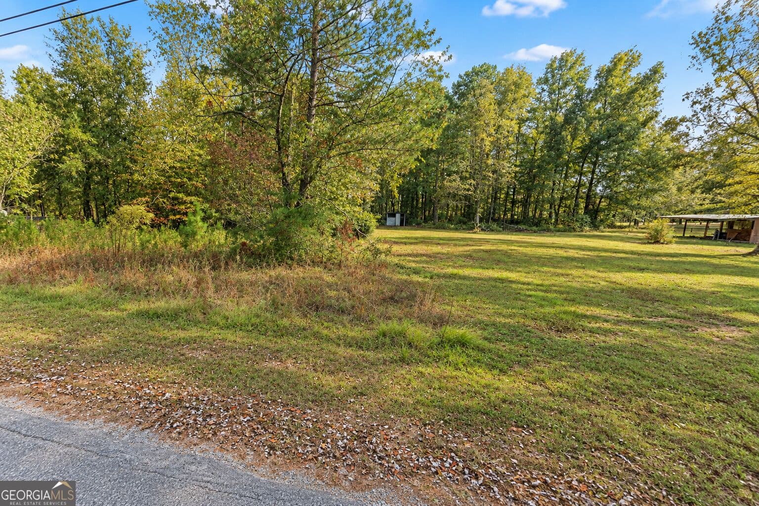 residential lot for sale at .46 ACRE Zerbee Lane, Waynesboro, GA 30830 — photo 5