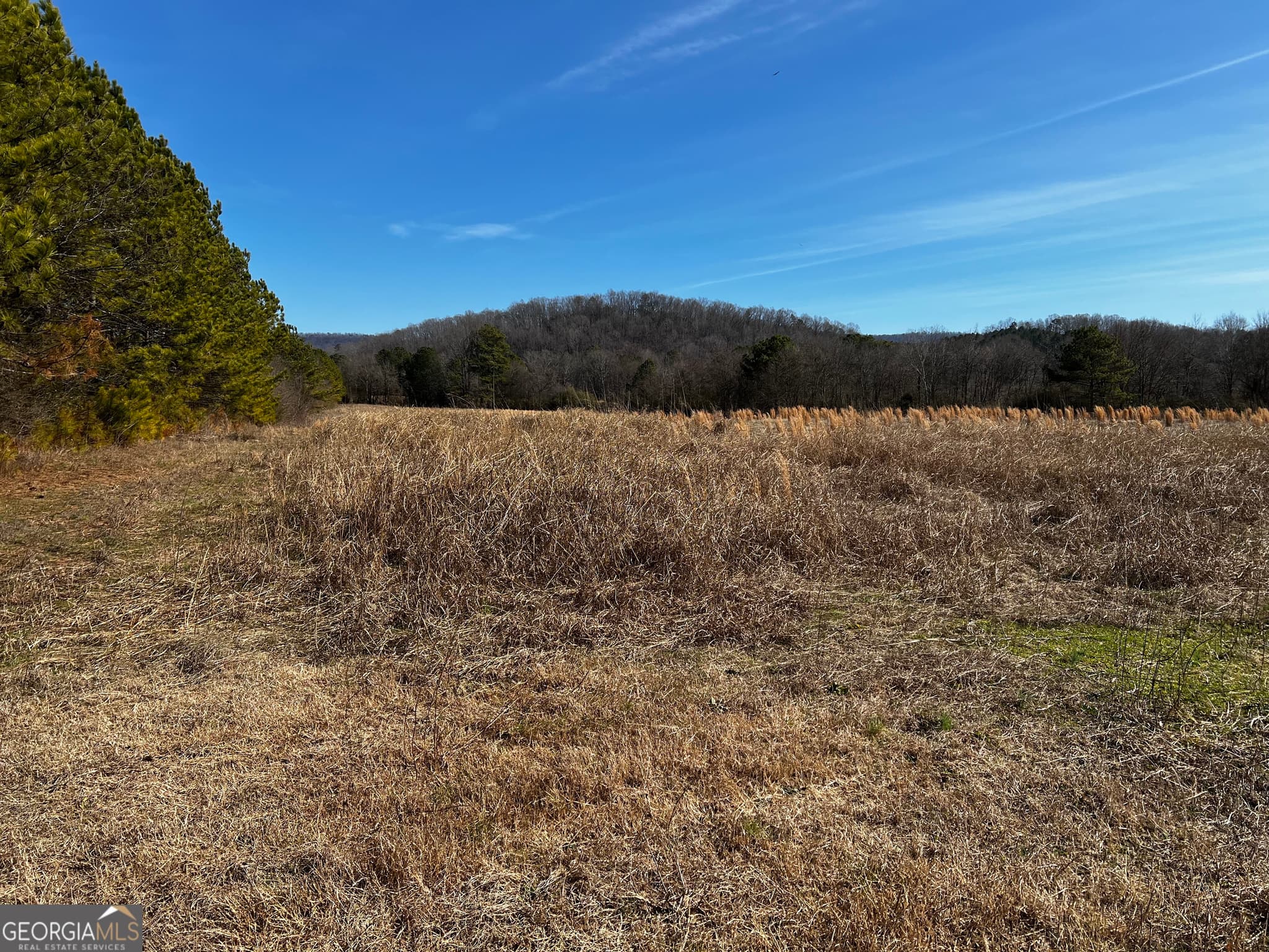 unimproved land for sale at 0 S Hwy 27, Trion, GA 30753 — photo 2