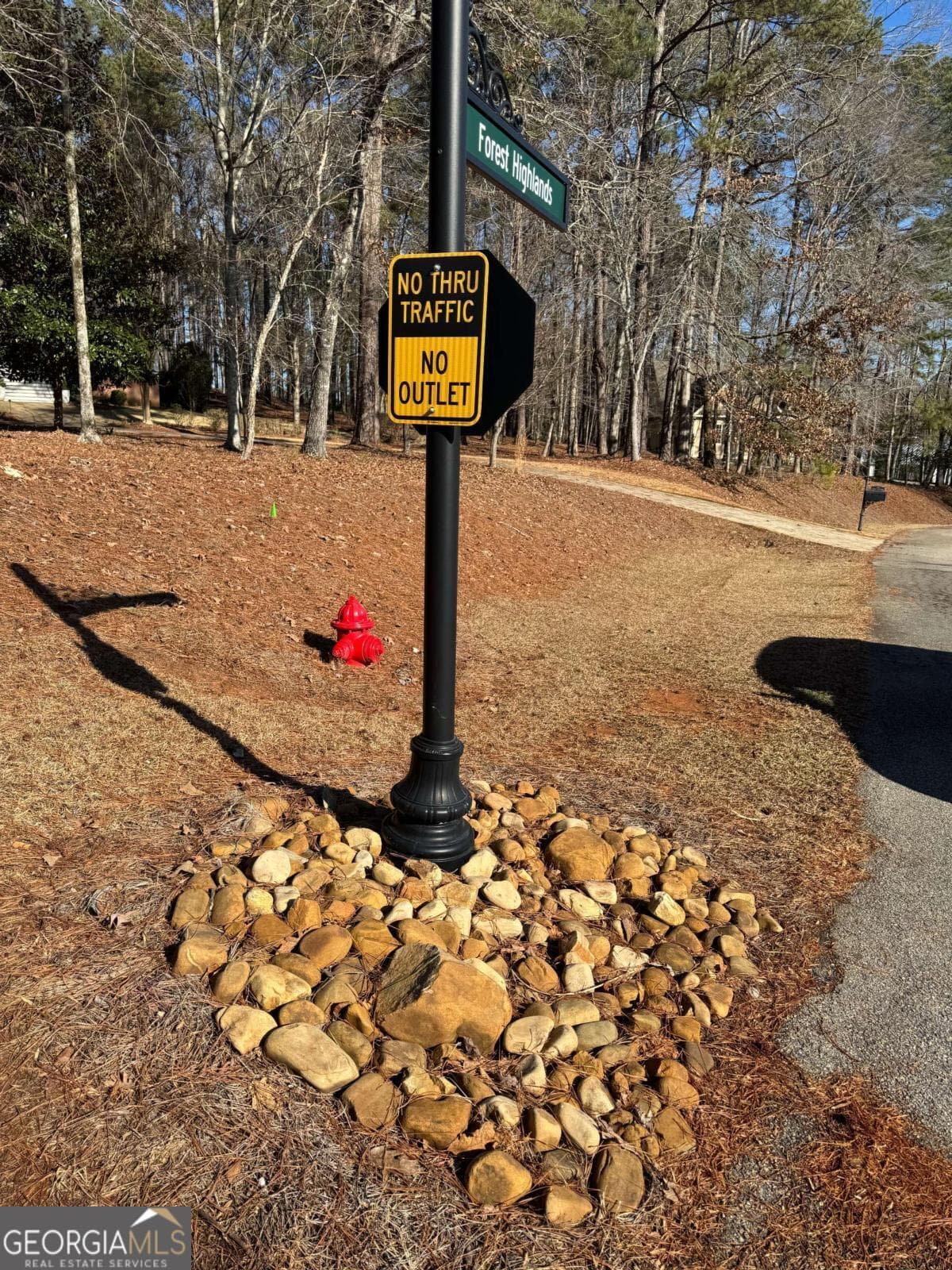 residential lot for sale at 1060 Forrest Highlands, Greensboro, GA 30642 — photo 6