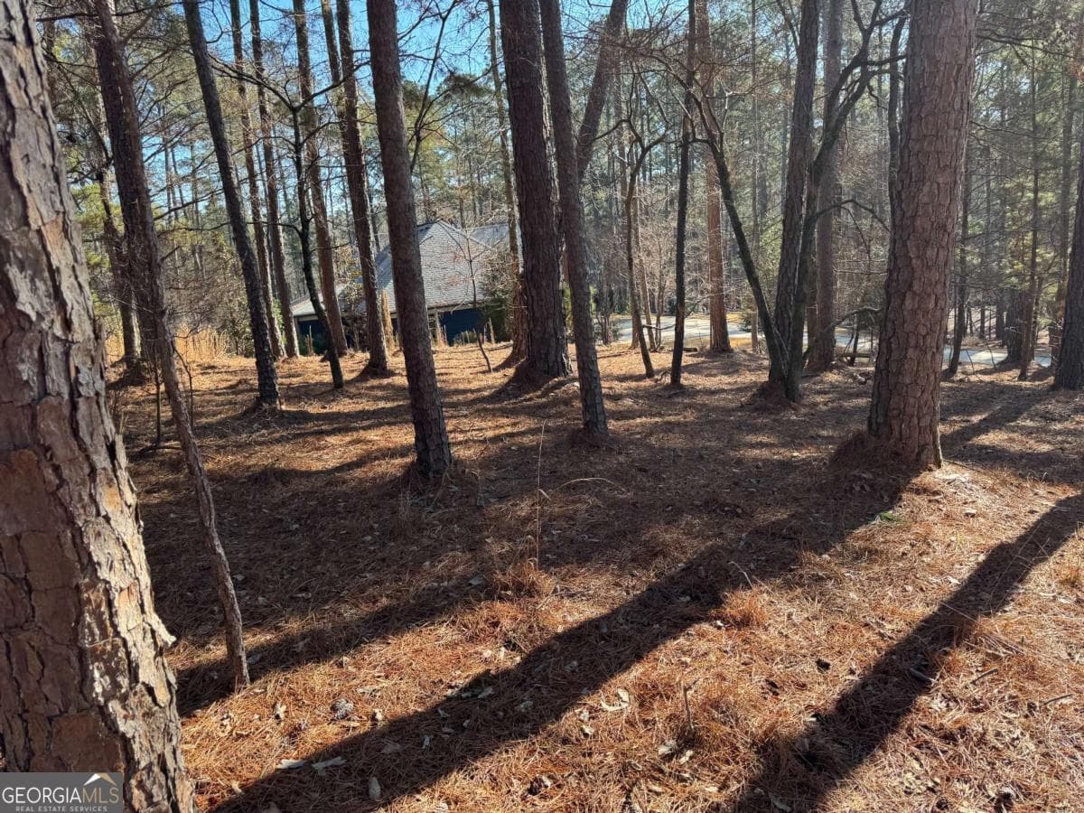 residential lot for sale at 1060 Forrest Highlands, Greensboro, GA 30642 — photo 5