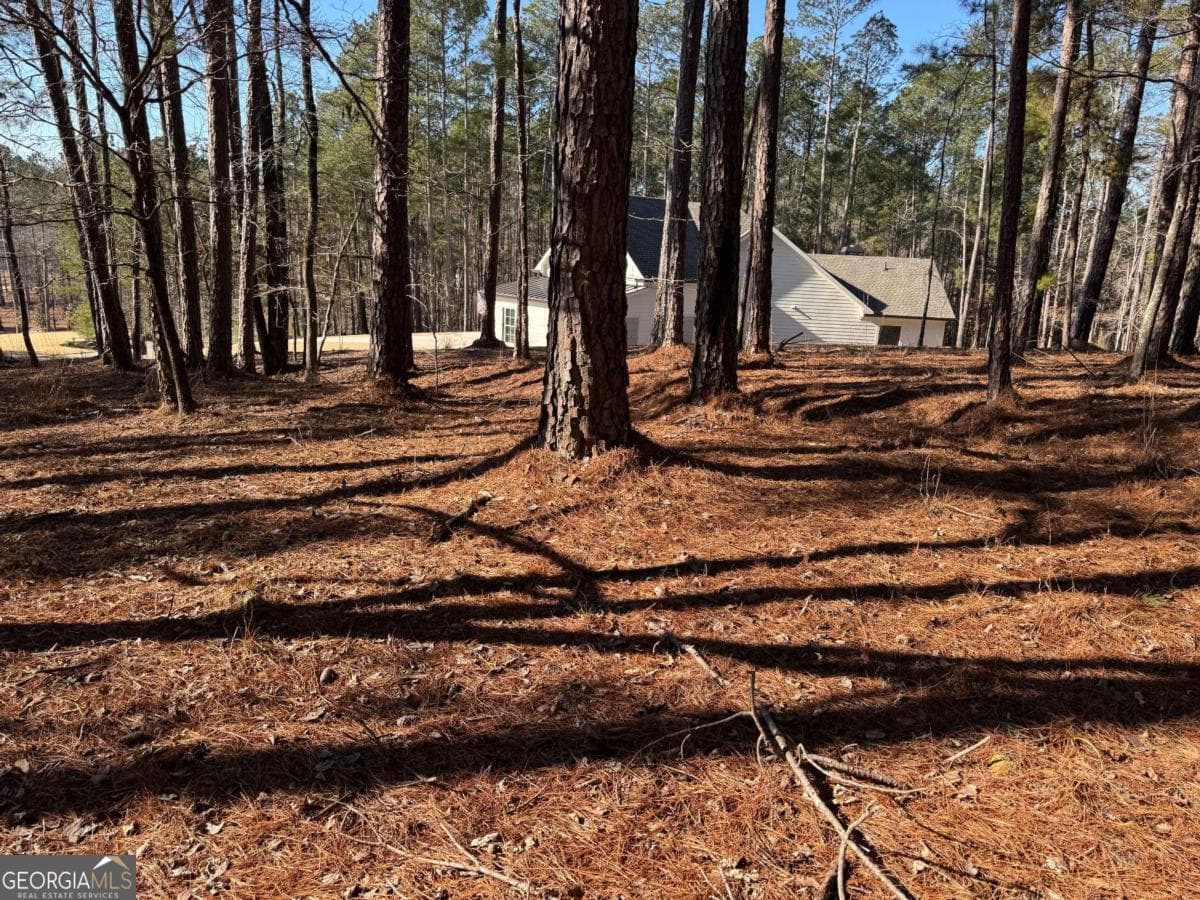 residential lot for sale at 1060 Forrest Highlands, Greensboro, GA 30642 — photo 4