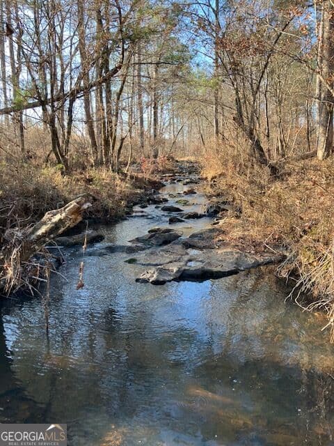 agriculture for sale at 352 Woodville Philomath Road, Rayle, GA 30660 — photo 2