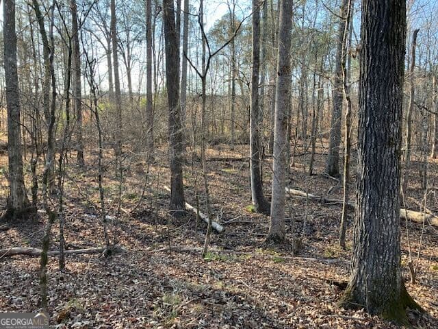 agriculture for sale at 352 Woodville Philomath Road, Rayle, GA 30660 — photo 3
