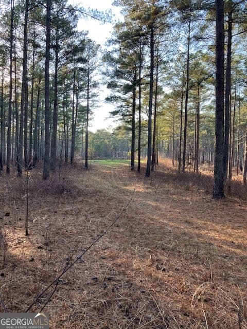 agriculture for sale at 352 Woodville Philomath Road, Rayle, GA 30660
